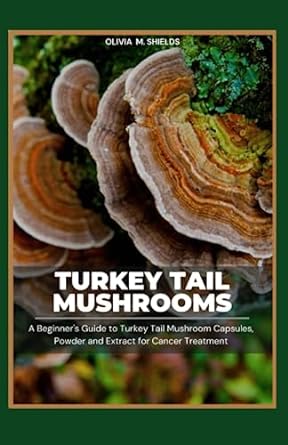 turkey tail mushroom a beginners guide to turkey tail mushroom capsules powders and extracts for cancer