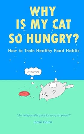 why is my cat so hungry how to train healthy food habits decode your cats hunger cues avoid common feeding