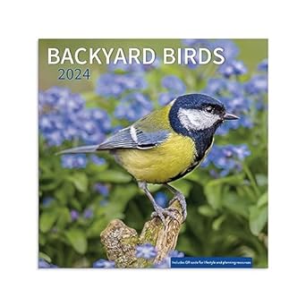 backyard birds 2024 wall calendar 1st edition dayspring b0c3wrzchn, 979-8886020588