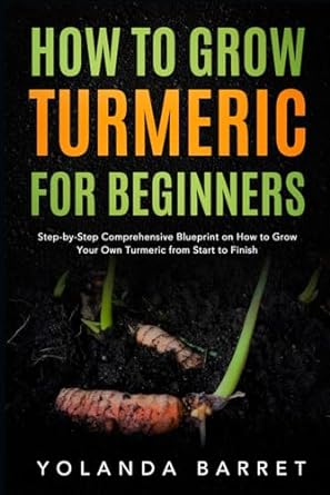 how to grow turmeric for beginners step by step comprehensive blueprint on how to grow your own turmeric from