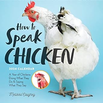 how to speak chicken wall calendar 2024 a year of chickens doing what they do and saying what they say 1st