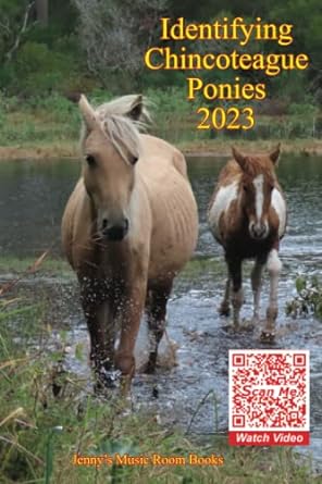 Identifying Chincoteague Ponies 2023