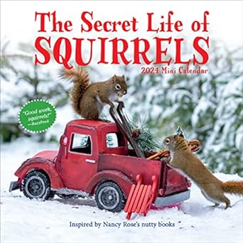 the secret life of squirrels mini calendar 2024 delightfully nutty squirrels 1st edition workman calendars