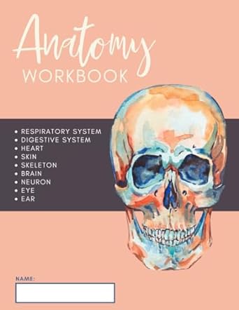 classical anatomy workbook 1st edition amanda riesenweber b0cpwh77wb, 979-8870423272