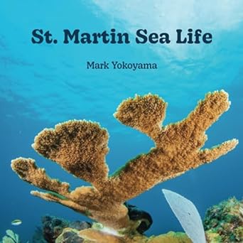 st martin sea life 1st edition mark yokoyama b0cccs8rkf, 979-8852322678