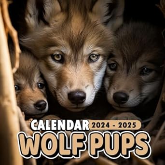 wolf pups calendar 2024 cute wolf pups calendar 2024 from january to december bonus 6 months 2025 calendar