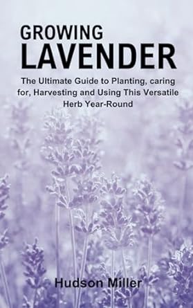 growing lavender the ultimate guide to planting caring for harvesting and using this versatile herb year