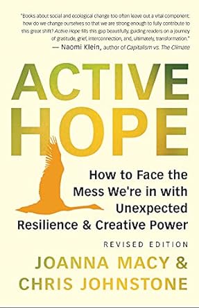 active hope how to face the mess were in with unexpected resilience and creative power revised edition joanna