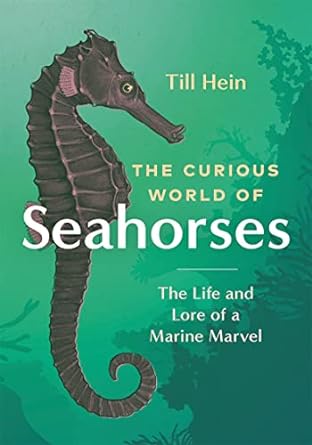 the curious world of seahorses the life and lore of a marine marvel 1st edition till hein ,renee von paschen