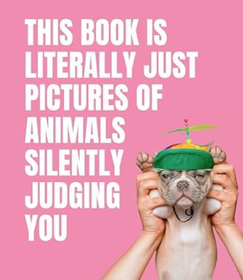 this book is literally just pictures of animals silently judging you 1st edition smith street books