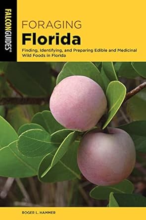 foraging florida finding identifying and preparing edible and medicinal wild foods in florida 1st edition