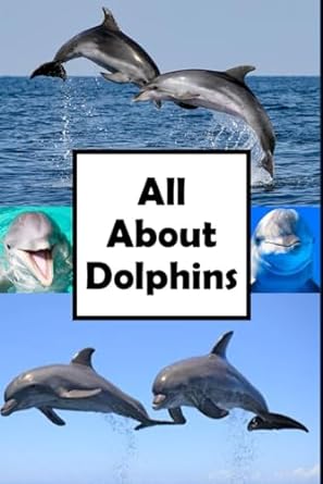 all about dolphins 1st edition mental bomb b0cps2hxqg, 979-8871123959