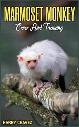 marmoset monkey care and training an expert care and training guidelines for keeping happy and healthy