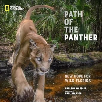 path of the panther new hope for wild florida 1st edition carlton ward jr ,carl hiaasen 1426223625,