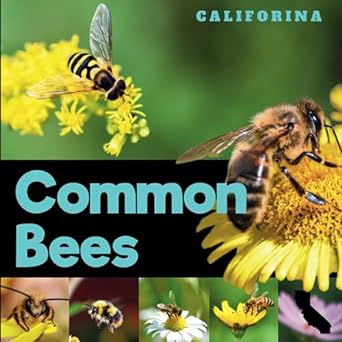 common bees of california a simple picture identification guide for beginners 1st edition theodore rose