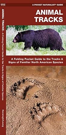 animal tracks a folding pocket guide to the tracks and signs of familiar north american species 1st edition