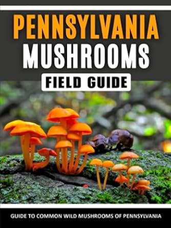 mushrooms of pennsylvania identification field guide to common wild mushrooms in the northeast 1st edition