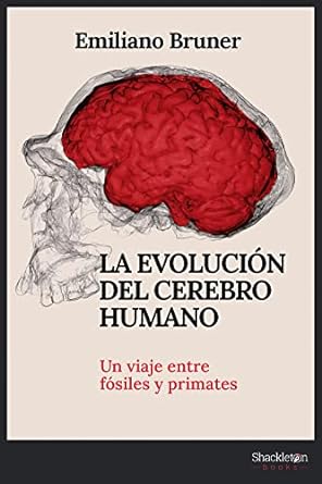 la evolucion del cerebro humano un viaje entre fosiles y primates 1st edition emiliano bruner b0c5y5zq54