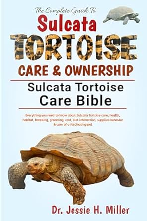 the complete guide to sulcata tortoise care and ownership everything you need to know about sulcata tortoise