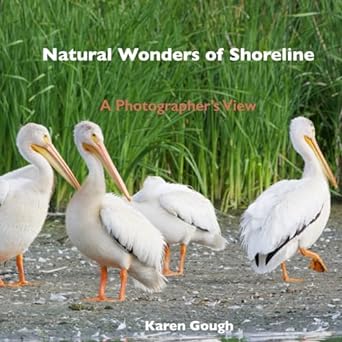 natural wonders of shoreline a photographers view 1st edition karen k gough b0cnbqgzxx, 979-8863316130