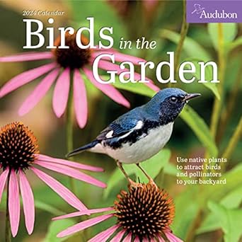 audubon birds in the garden wall calendar 2024 use native plants to attract birds and pollinators to your