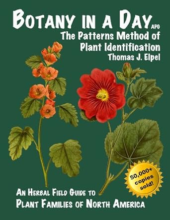 botany in a day the patterns method of plant identification 6th edition thomas j elpel 1892784351,