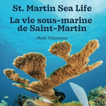 st martin sea life la vie sous marine de saint martin 1st edition mark yokoyama b0clrzxr7v, 979-8865372592