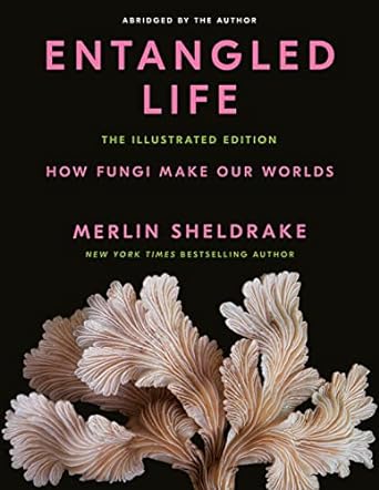 entangled life the   how fungi make our worlds 1st edition merlin sheldrake 0593729986, 978-0593729984