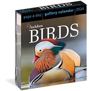 audubon birds page a day gallery calendar 2024 hundreds of birds expertly captured by top nature