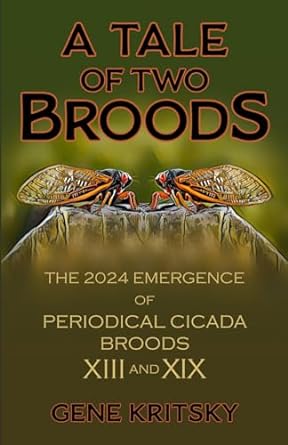 a tale of two broods the 2024 emergence of periodical cicada broods xiii and xix 1st edition gene kritsky