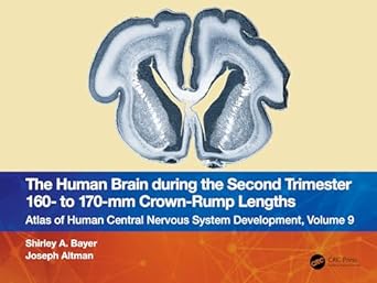 the human brain during the second trimester 160 to 170 mm crown rump lengths atlas of human central nervous