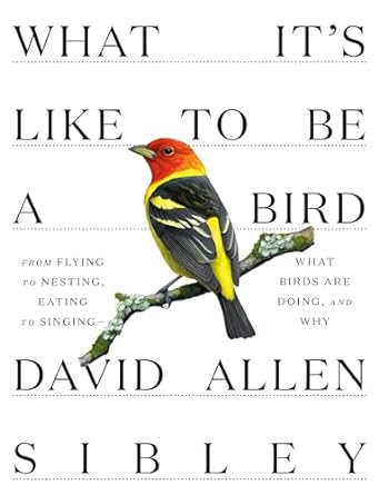 what its like to be a bird from flying to nesting eating to singing what birds are doing and why 1st edition