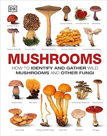 mushrooms how to identify and gather wild mushrooms and other fungi 1st edition dk 146540855x, 978-1465408556