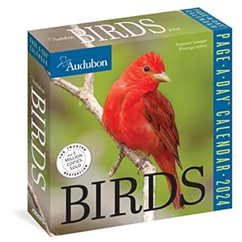 audubon birds page a day calendar 2024 the worlds favorite bird calendar 1st edition workman calendars