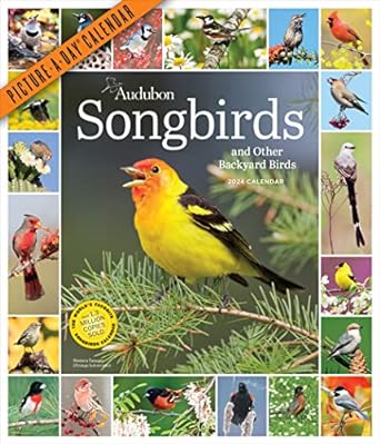 audubon songbirds and other backyard birds picture a day wall calendar 2024 a beautiful bird filled way to