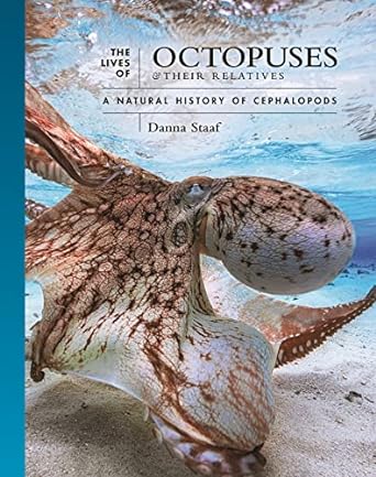 the lives of octopuses and their relatives a natural history of cephalopods 1st edition danna staaf