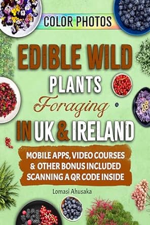 edible wild plants foraging in uk and ireland learn how to identify safely and harvest natures green gifts