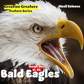 creation creature features bald eagles 1st edition mr joseph paul staples wasil m ed b0cj2tv62q,