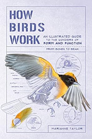 how birds work an illustrated guide to the wonders of form and function from bones to beak 1st edition