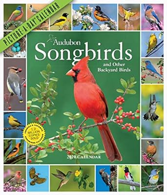 audubon songbirds and other backyard birds picture a day wall calendar 2020 1st edition national audubon