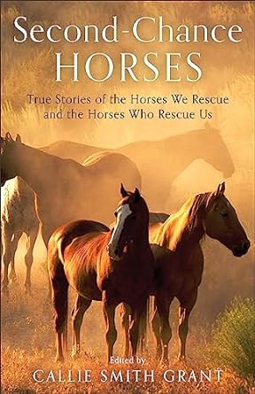 second chance horses true stories of the horses we rescue and the horses who rescue us 1st edition callie