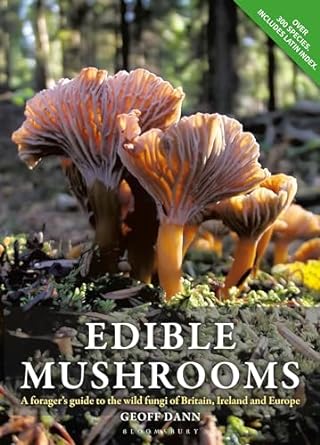 edible mushrooms a foragers guide to the wild fungi of britain ireland and europe 1st edition geoff dann