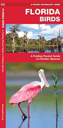 florida birds a folding pocket guide to familiar species 1st edition james kavanagh waterford press