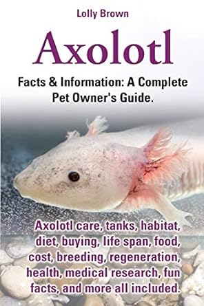 axolotl axolotl care tanks habitat diet buying life span food cost breeding regeneration health medical