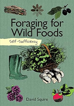 self sufficiency foraging for wild foods learn how where and when to find herbs fruits nuts mushrooms