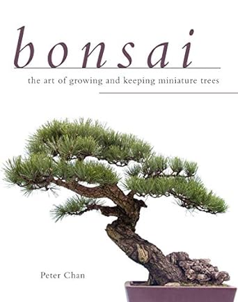 bonsai the art of growing and keeping miniature trees 1st edition peter chan 1629141682, 978-1629141688