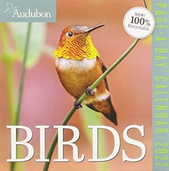 audubon birds page a day calendar 2022 1st edition workman calendars 1523512644, 978-1523512645