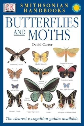 butterflies and moths the clearest recognition guide available 2nd edition david j carter 078948983x,