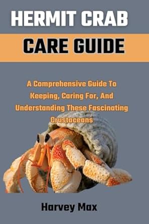 hermit crab care guide a comprehensive guide to keeping caring for and understanding these fascinating