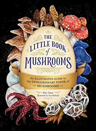 the little book of mushrooms an illustrated guide to the extraordinary power of mushrooms 1st edition alex